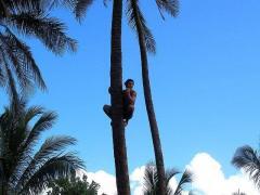 Polynesian Cultural Center - A Hawaii Must Do! - Go Visit Hawaii