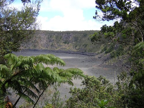 A view through the forest of Kilauea Iki crater floor from the trail.
