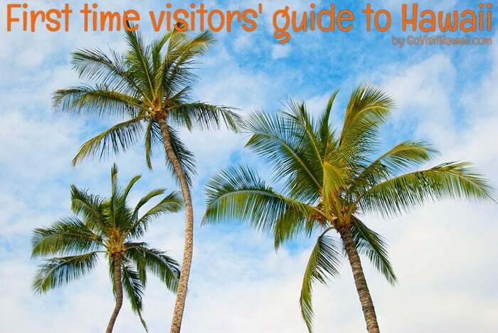 Hawaii-First-Time-Travel-Guide-Small