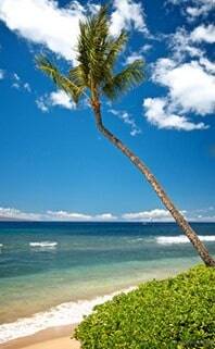 maui beach at kaanapali