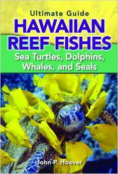 Ultimate Guide Hawaiian Reef Fishes