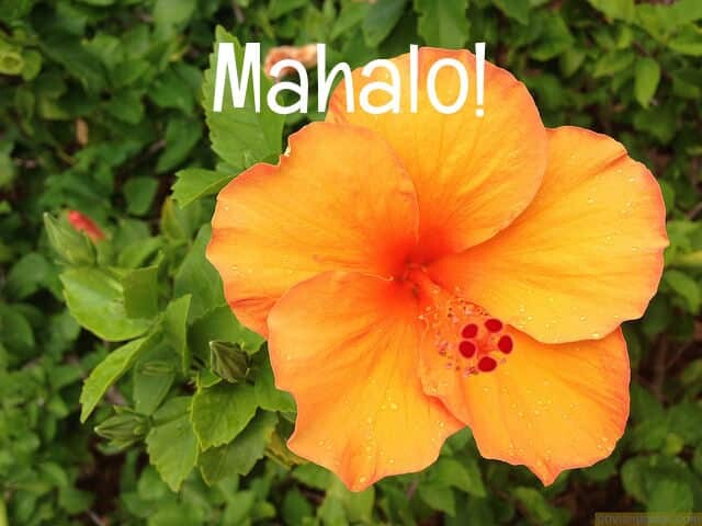 Mahalo for making Go Visit Hawaii a top travel blog! - Go Visit Hawaii