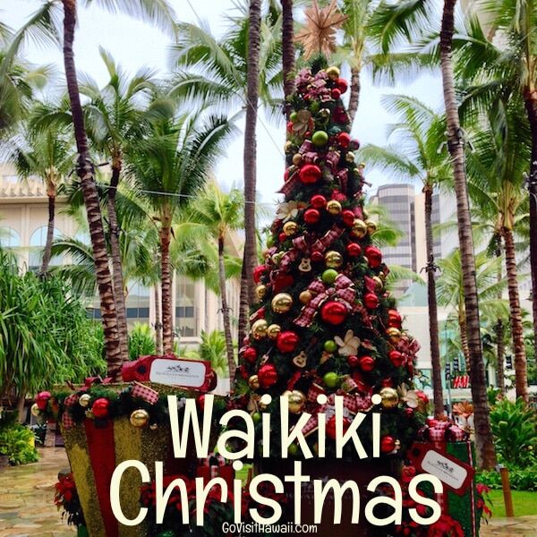Waikiki Christmas Events \u0026 Dining 2017  Go Visit Hawaii