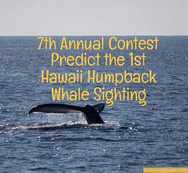 7th annual humpback whale contes