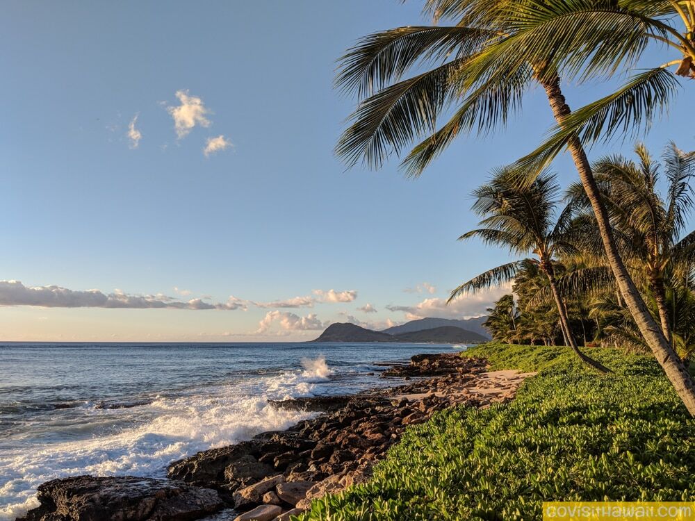 Best Cameras for Stunning Hawaii Photos