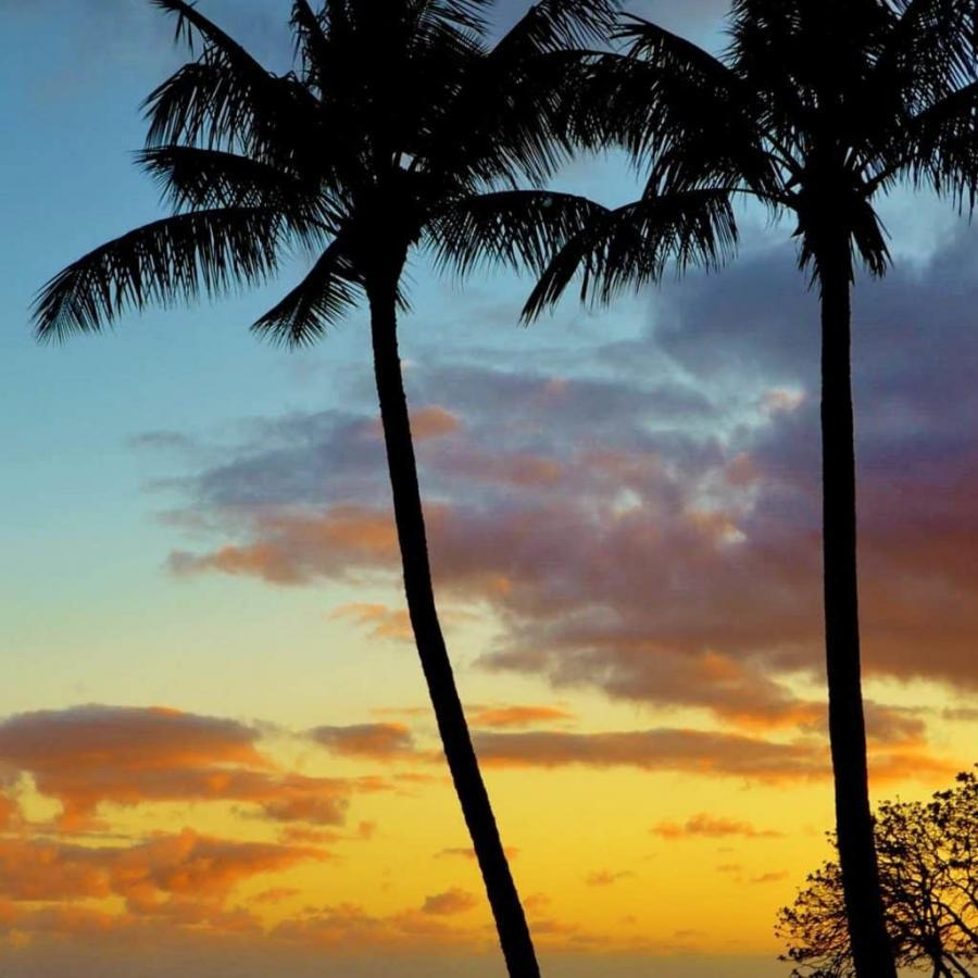 Aloha Friday Photo: Two palm sunset - Go Visit Hawaii