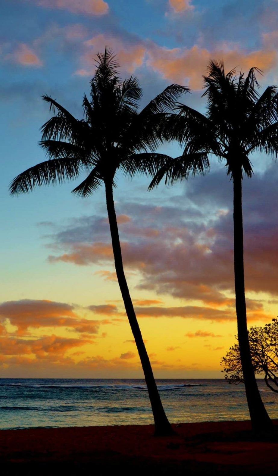 Aloha Friday Photo: Two palm sunset - Go Visit Hawaii