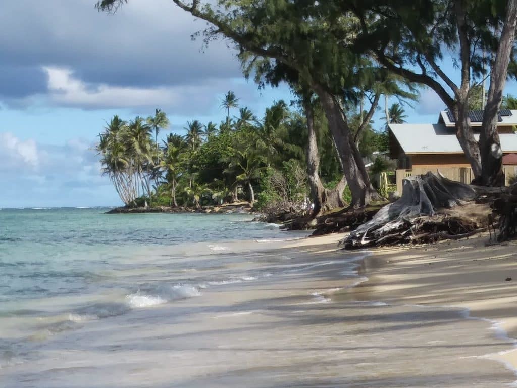 Aloha Friday Photo: North Shore Oahu Beach Scene - Go Visit Hawaii