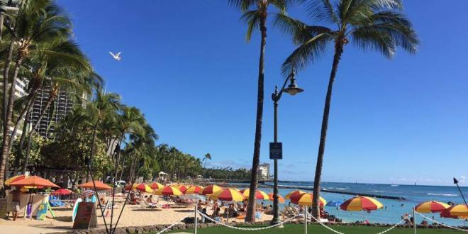 Aloha Friday Photo: Colorful Waikiki Beach Scene - Go Visit Hawaii