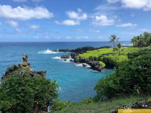 New reservation system to visit Wai'anapanapa Black Sand Beach off Maui ...