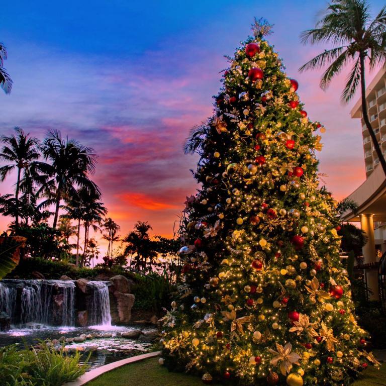 Aloha Friday Photo Stunning Christmas Tree Scene from The Westin Maui