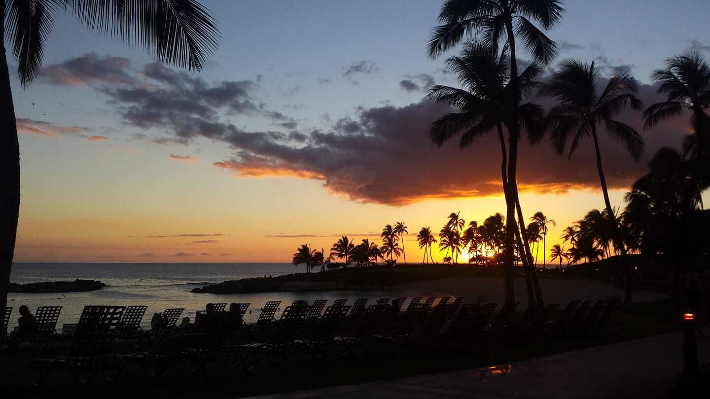 Carolina Panthers Amzazing Sunset And Coconut Trees Aloha Hawaiian